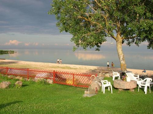 Beach, Hostel Laguun in Kallaste