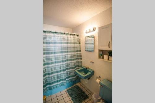 Central Automobile Alley Modern 1BDR - WIFI in Oklahoma City, USA