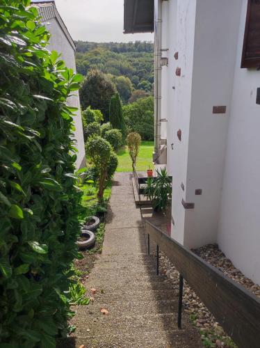 Kohlwies in Münchwies, Deutschland