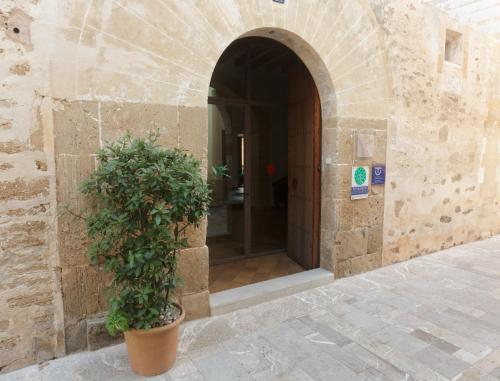 Can Tem Turismo de Interior - image 13