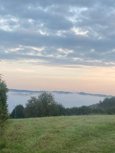 Aux 4 chalets, Bouillon (foto 7)
