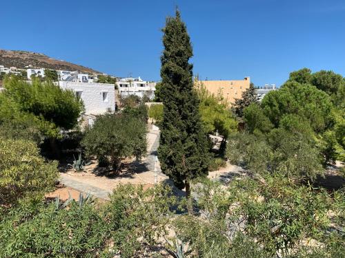 Anezina Village 5