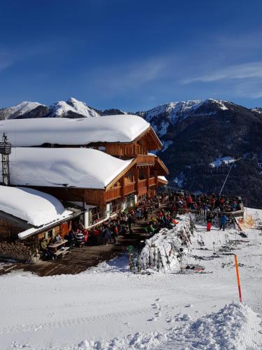 Winklalm - Location saisonnière - Flachau