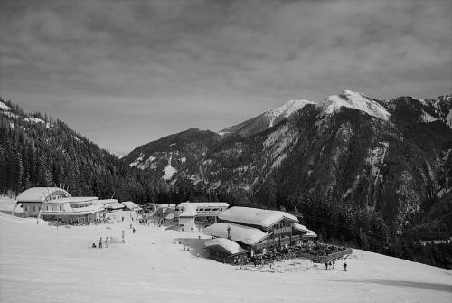 A környék, Winklalm in Flachauwinkl