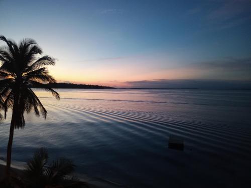 สภาพแวดล้อมโดยรอบ, Kevin Kondos in โบกัส เดล โตโร