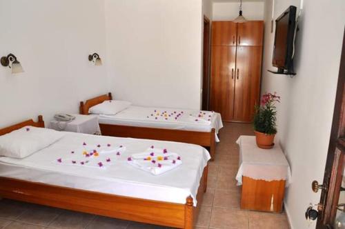 Robin hotel