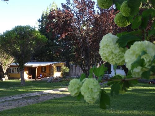 CABAÑAS RINCON DEL PLATA (CABANAS RINCON DEL PLATA) in El Salto (Mendoza)