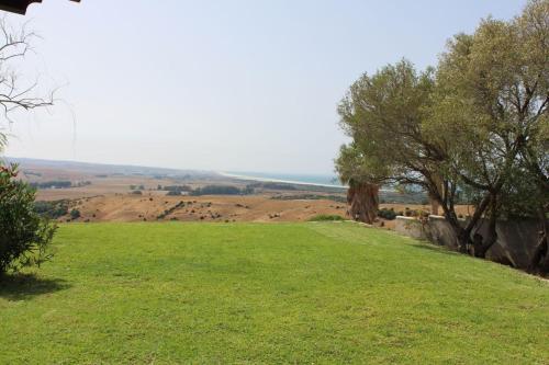 Las Cabañas - image 10