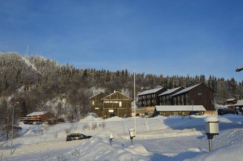 Ski Lodge Funäsdalen - Apartment