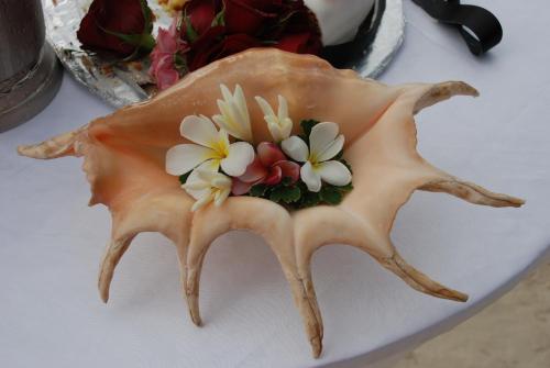 La Vida Selfcatering Apartements La Vida Selfcatering Apartements