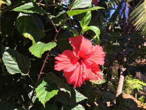 La Vida Selfcatering Apartements La Vida Selfcatering Apartements