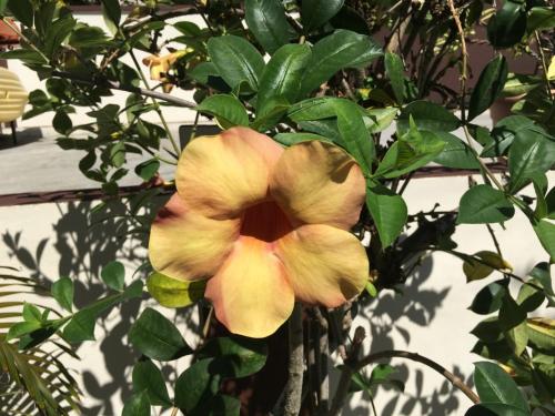 La Vida Selfcatering Apartements La Vida Selfcatering Apartements