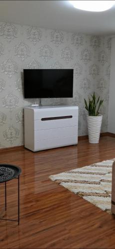 Studio Apartment in the center in ชอสตกา