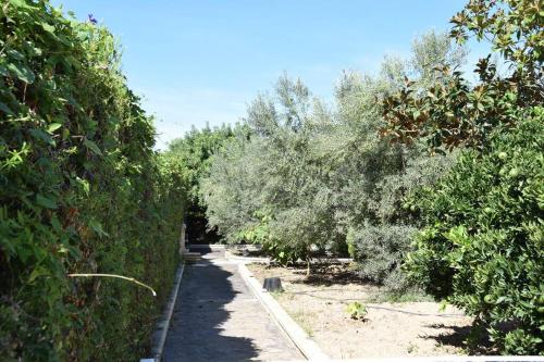  Casa Rural  La Bruja  in Segorbe