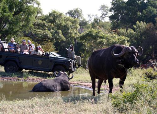 Umlani Bushcamp