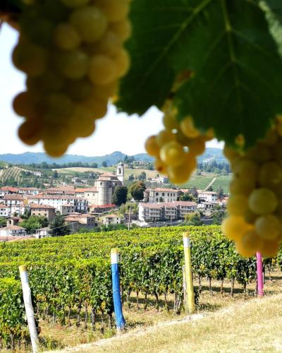 Agriturismo Mondo 5