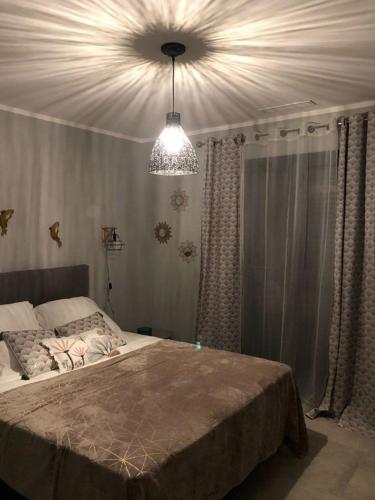 monteleone monteleone