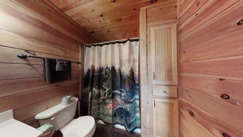 Cove Meadows Cabin 3423 - image 42