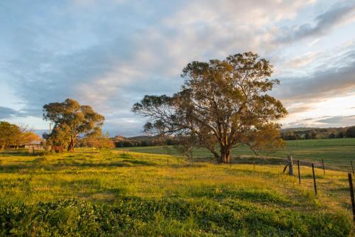 Beaudesert Mudgee - Kanimbla Guesthouse & Beaudesert Cottage