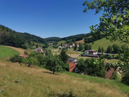 Hotel Grüner Baum mit Restaurant & Wellness