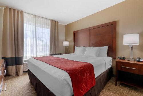 Comfort Suites Downtown Sacramento