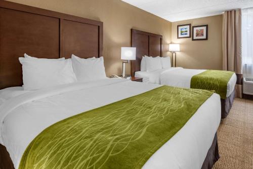 Comfort Inn Edison - New Brunswick - image 11