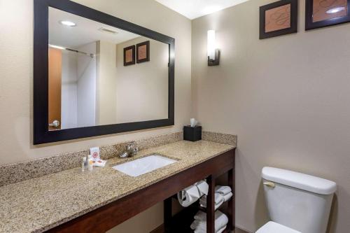 Comfort Suites Manchester - image 6
