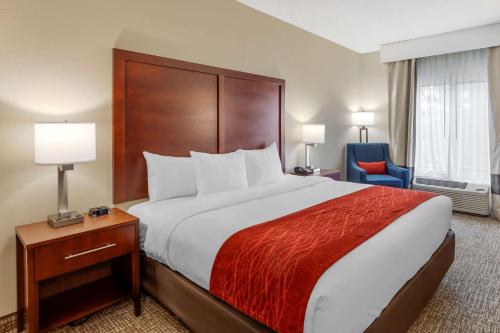Comfort Inn & Suites - image 6