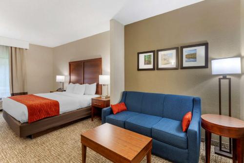 Comfort Inn & Suites - image 14