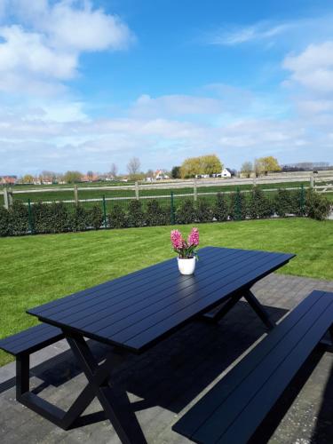 de blinker, Knokke-Heist (foto 9)