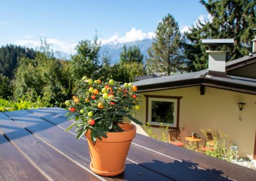 Vista exterior, Appartement 'Oachkatzl' in Imst