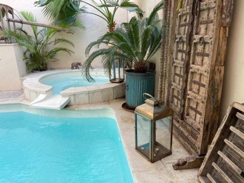 Cocoon in Cannes ***** - image 12