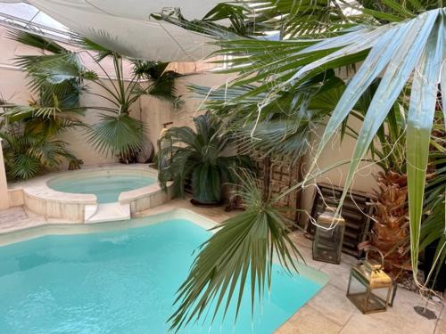 Cocoon in Cannes ***** - image 8