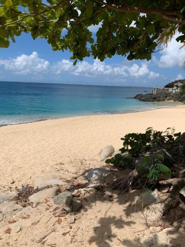 St Martin Nettlé Bay Lovely appartment