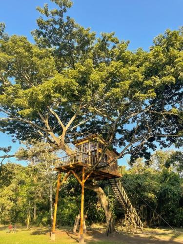 Casa en el Arbol