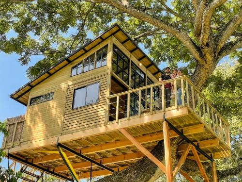 Casa en el Arbol