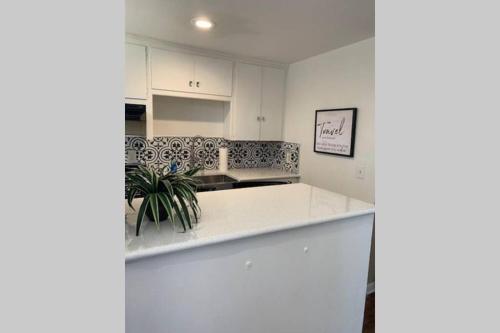 Studio Apt in Asian District in Oklahoma City, USA