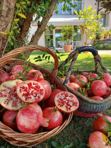 Agriturismo Relais Maddalene101