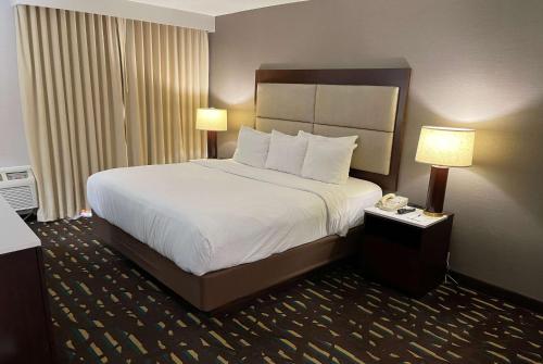 Wyndham Chicago O'Hare Room Type - King Room