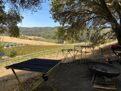 Tentrr - Vineyard Glamping - image 6