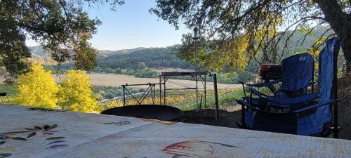 Tentrr - Vineyard Glamping - image 14