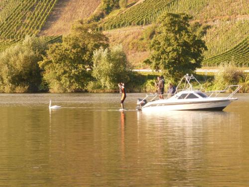 Hausboot Moselrose in Pölich