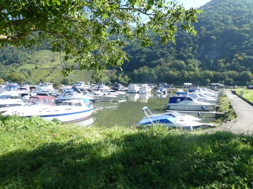 Hausboot Moselrose in Pölich