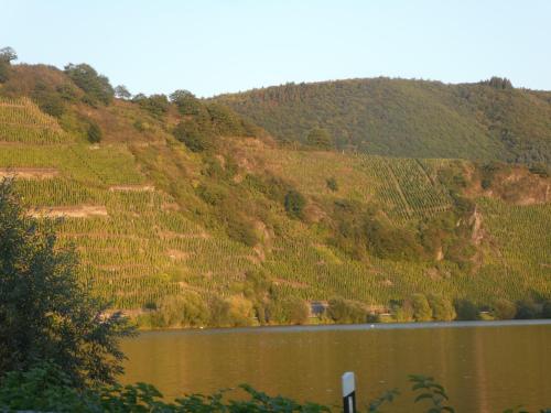 Hausboot Moselrose in Pölich