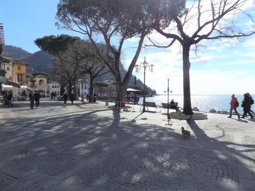 Casa Catullo - Apartment - Garda