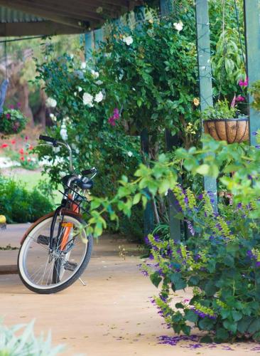 Freshwater Creek Cottages & Farm Stay photo
