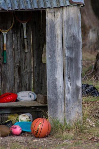 Freshwater Creek Cottages & Farm Stay photo