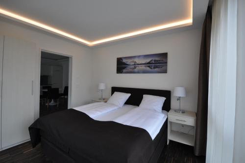 Swiss Star Home - image 5