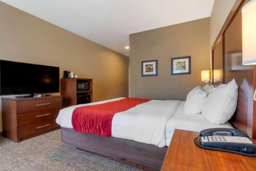 Comfort Inn Lathrop Stockton Airport