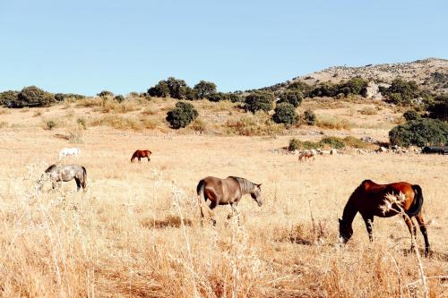 Los Pilares de Ronda Boutique & Hotel